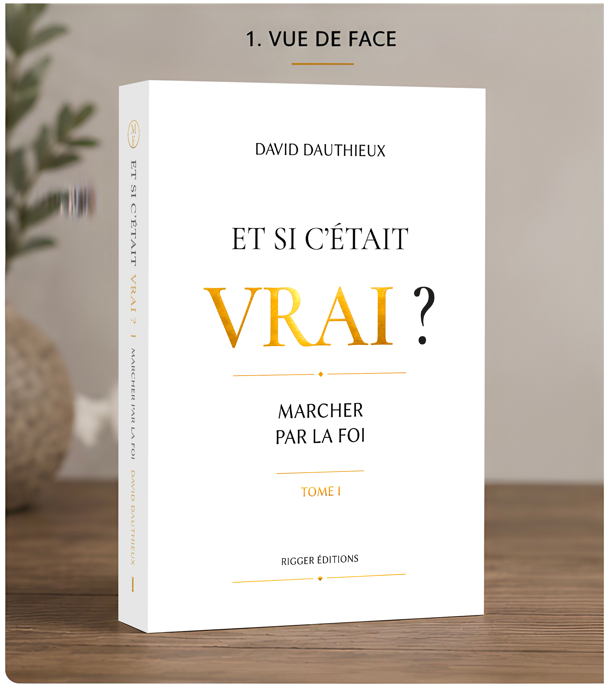 Livre Et si c’était vrai ? de David Dauthieux – vue de face