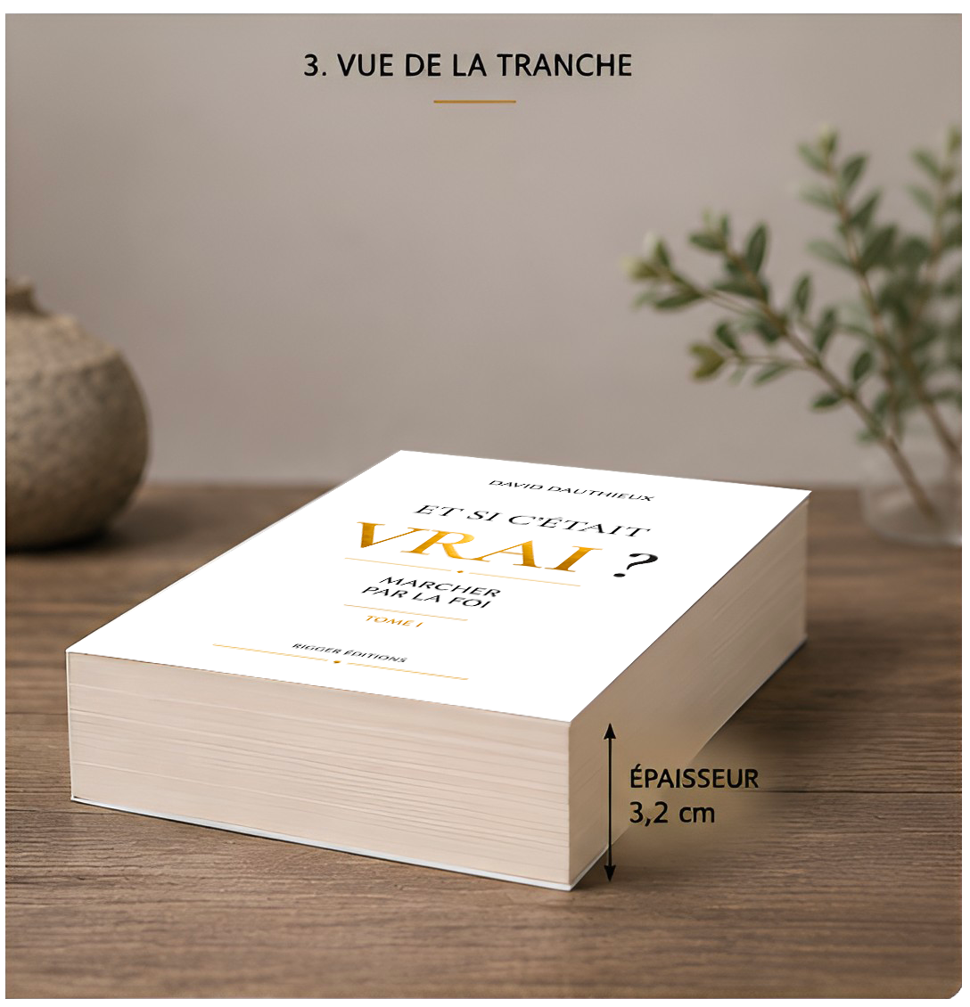 Livre Et si c’était vrai ? de David Dauthieux – vue de la tranche